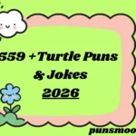 Turtle Puns & Jokes