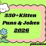 Kitten Puns & Jokes