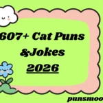 Cat Puns & Jokes