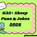 Sheep Puns & Jokes